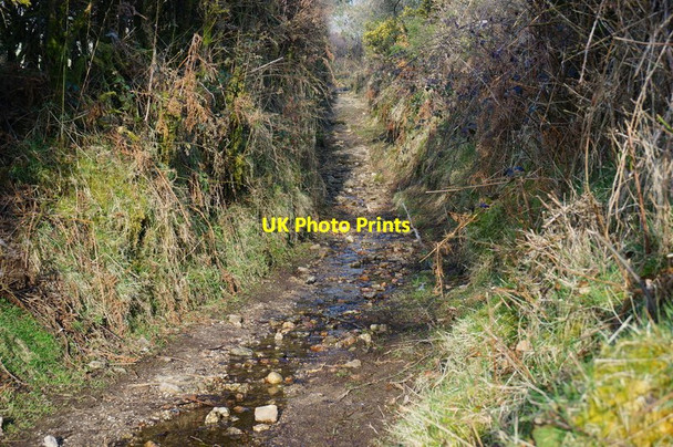 Photo 6"x4" Path climbing up towards Hamel Down Higher Dunstone c2015