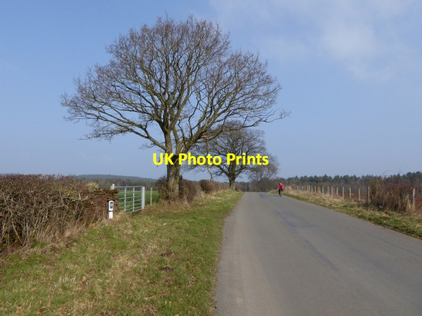 Photo 6"x4" Cyclist on the country road to the north of Commonholme Bridge Cliburn c2015