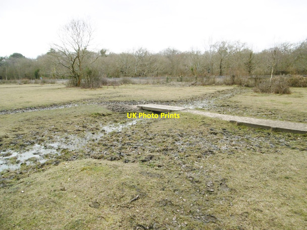 Photo 6"x4" Ashurst, footbridge Ashurst\/SU3310 c2015