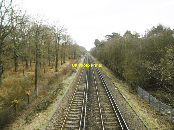 Photo 6"x4" Ashurst, railway lines Ashurst\/SU3310 c2015