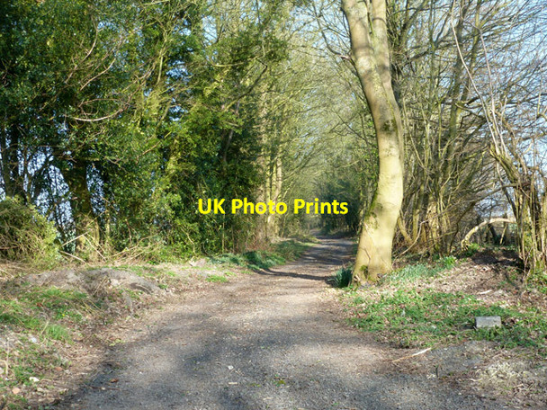 Photo 6"x4" Cock Lane Cuckoo's Knob c2015