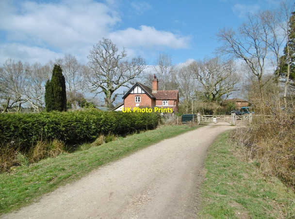 Photo 6"x4" Churchplace Inclosure, lodge Ashurst\/SU3310 c2015