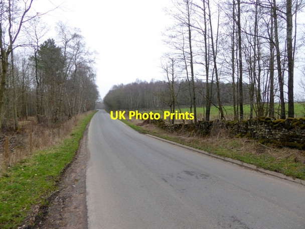 Photo 6"x4" Country road near Skirwith Skirwith c2015