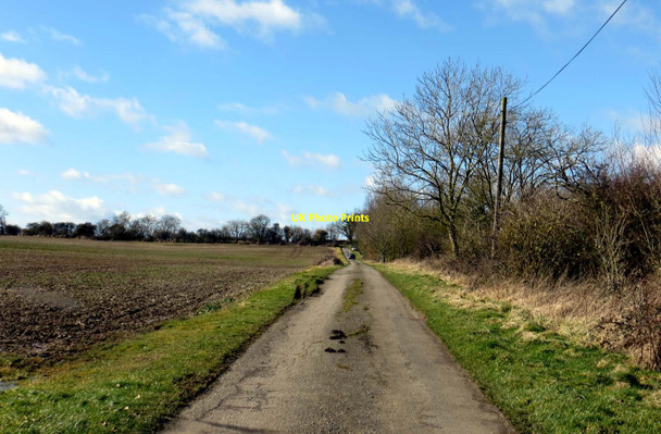 Photo 6"x4" The road to Westfield Farm Hillesden c2015