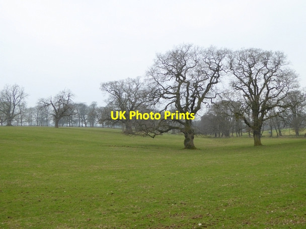 Photo 6"x4" Parkland at Skirwith Abbey Skirwith c2015