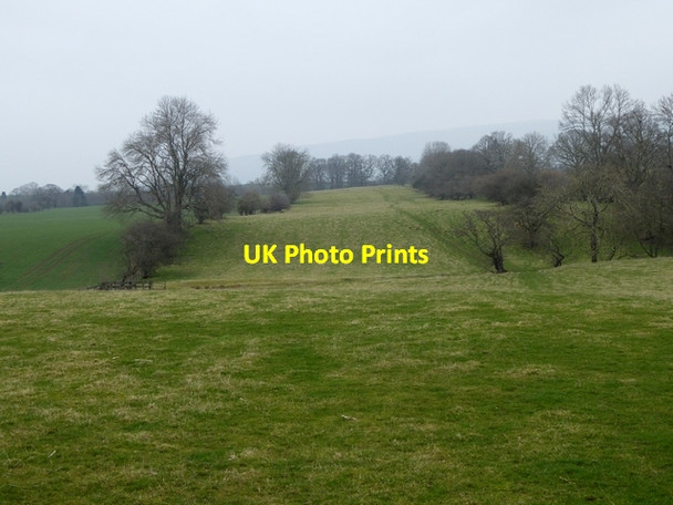 Photo 6"x4" Pasture near Skirwith Skirwith c2015
