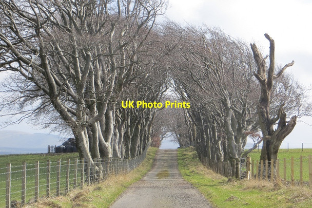 Photo 6"x4" Birkhill - Eastertown Road Brocketsbrae c2015