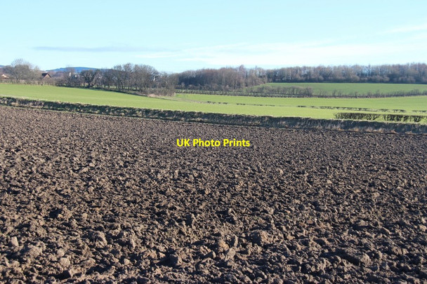 Photo 6"x4" Ploughed field, Inchinnan Freeland\/NS4669 c2015