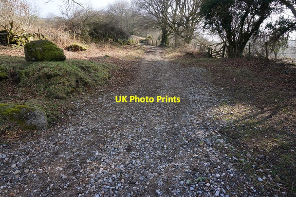 Photo 6"x4" Public access route to Bonehill Down Bonehill\/SX7277 c2015