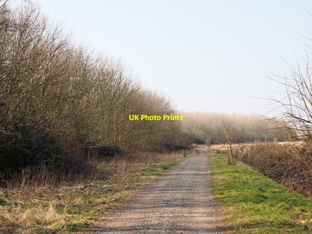 Photo 6"x4" Path to Trimley Marshes Trimley Lower Street c2015