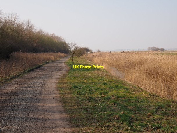Photo 6"x4" Path approaching the boundary of SWT Trimley Marshes Trimley Lower Street c2015