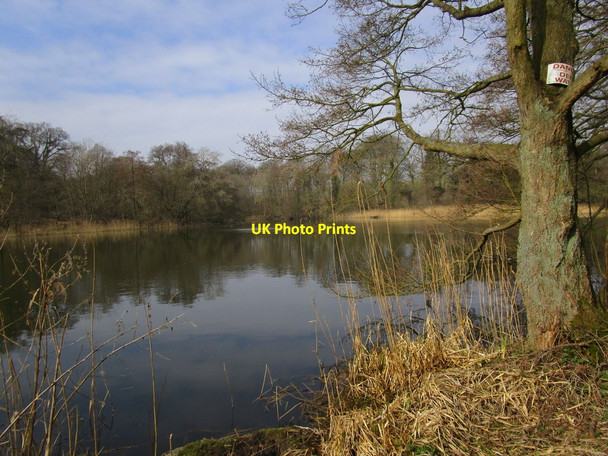 Photo 6"x4" Low Pond, Benniworth Haven Donington on Bain c2015