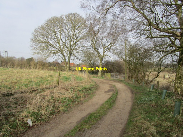 Photo 6"x4" Bend in Dams Lane Belchford c2015