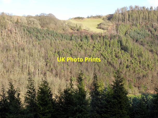 Photo 6"x4" A view towards Ystumtuen from Coed Rheidol Devil's Bridge\/Pontarfynach c2015