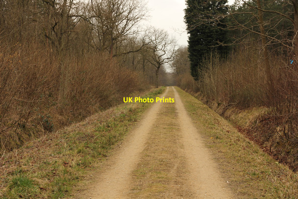 Photo 6"x4" Great West Wood Apley c2015