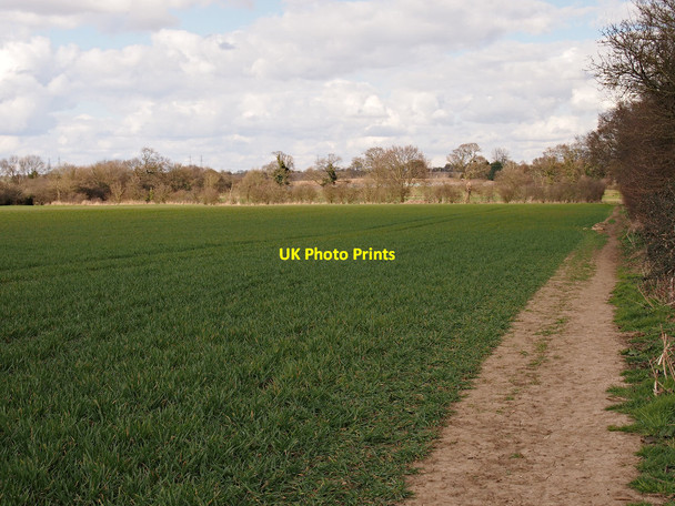 Photo 6"x4" Path and Hedgerow, Ipswich Northern Fringe Ipswich c2015