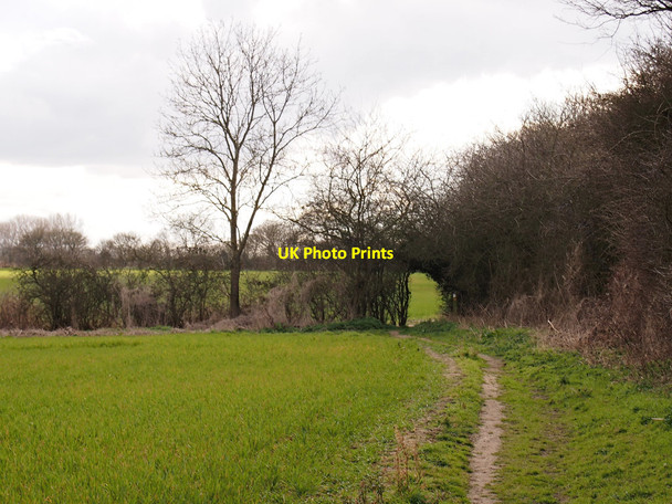 Photo 6"x4" Fonnereau Way, Ipswich Northern fringe Castle Hill\/TM1547 c2015