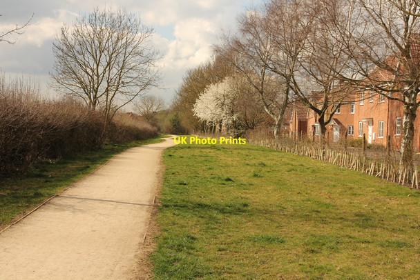 Photo 6"x4" Green Lane Witham St Hughs c2015