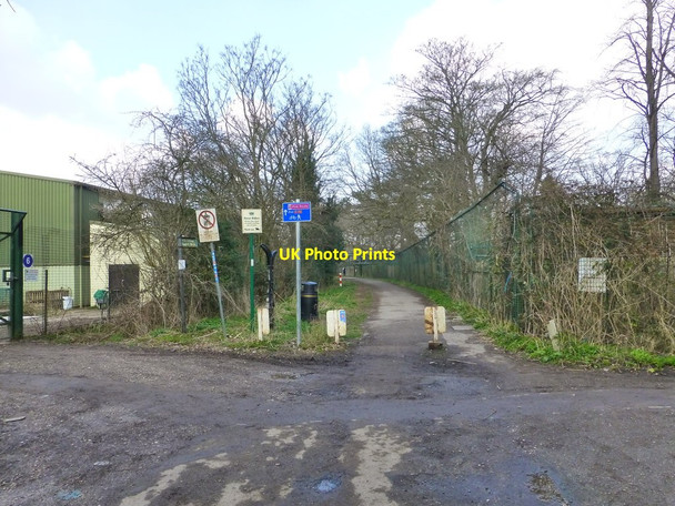 Photo 6"x4" Public Bridleway at Upton Heath Moston\/SJ4070 c2015