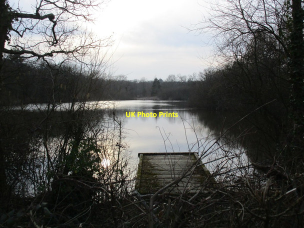 Photo 6"x4" Fishing platform and Brickkiln Pond Stubbermere c2015