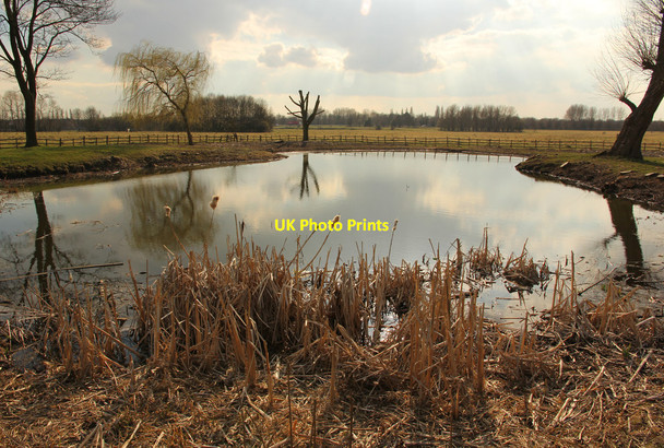 Photo 6"x4" Ornamental Pond Lincoln c2015 P2