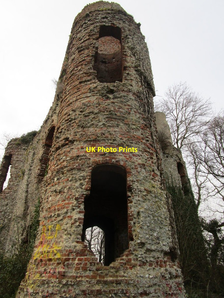 Photo 6"x4" The Racton Monument Walderton c2015