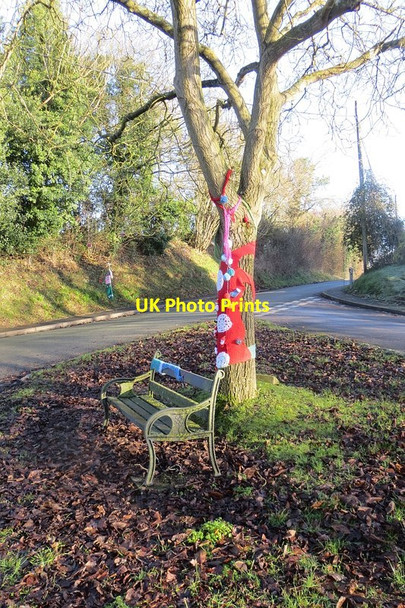 Photo 6"x4" Christmas decoration, Ashford Carbonel Ashford Carbonell c2014