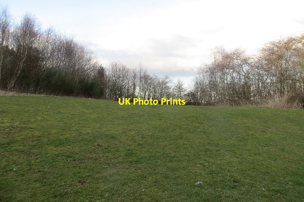 Photo 6"x4" Bing, Oakbank Livingston c2015