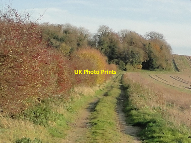 Photo 6"x4" Track to Limekiln Plantation, Marham Marham c2010