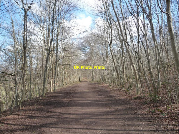 Photo 6"x4" Parlington Lane heading north-east to Aberford Parlington c2015