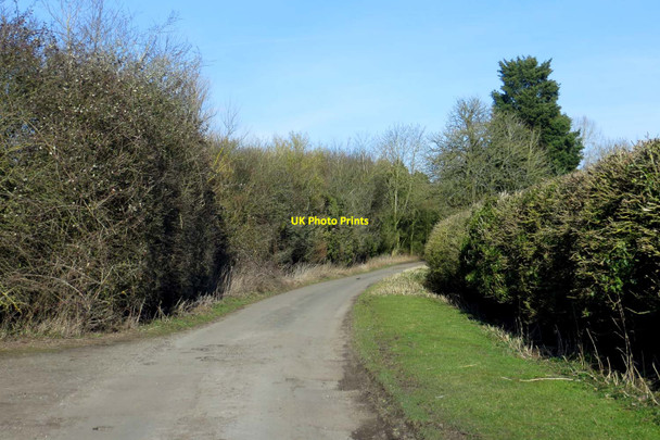 Photo 6"x4" The road to Moat Farm Chetwode c2015