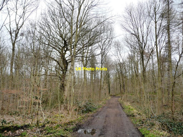 Photo 6"x4" The former Aberford Railway in Parlington Hollins Parlington c2015