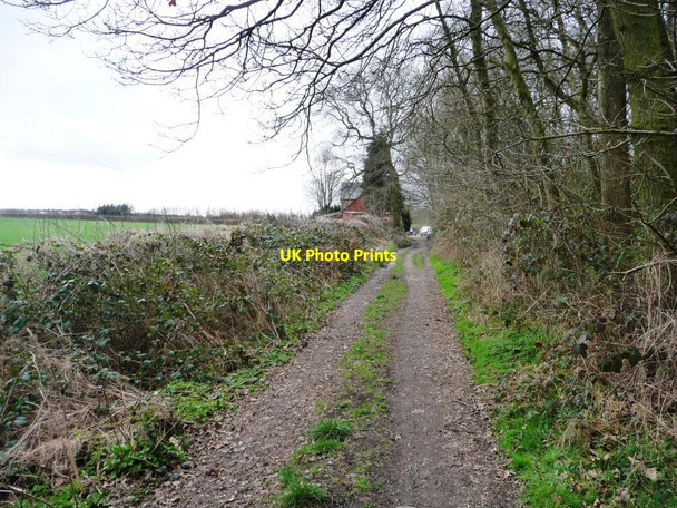 Photo 6"x4" Footpath to Garforth approaching Lily Pit Cottage Garforth c2015