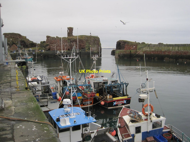 Photo 6"x4" Dunbar Castle and Victoria Harbour Dunbar c2015