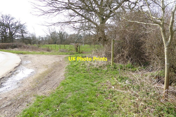 Photo 6"x4" Bend on Mill Lane at footpath junction Hartley Wespall c2015