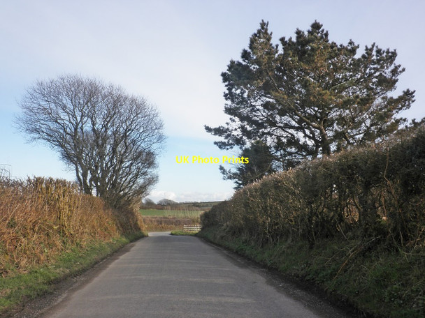 Photo 6"x4" Cross Lane Berrynarbor c2015