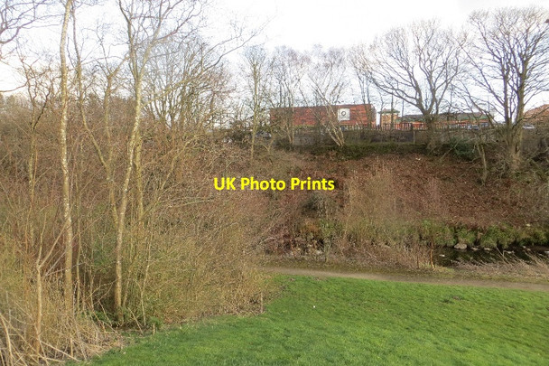 Photo 6"x4" River Almond, Livingston Livingston c2015
