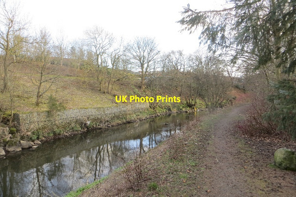 Photo 6"x4" River Almond, Livingston Livingston c2015