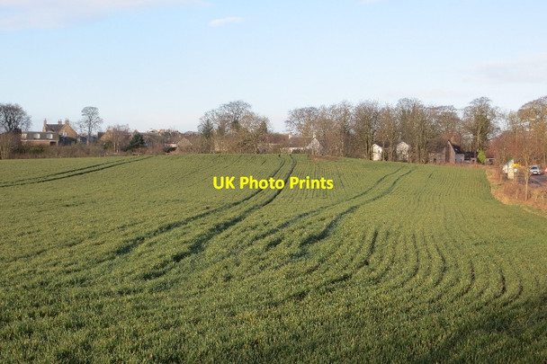Photo 6"x4" Winter arable, Niddry Mains Faucheldean c2015