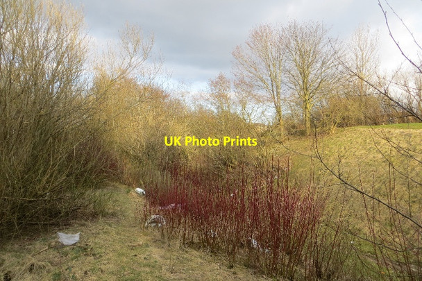 Photo 6"x4" Rough parkland, Livingston Livingston c2015