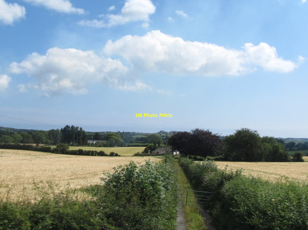 Photo 6"x4" Farmland south of the A25 (Downpatrick Road) Clough\/J4040 c2011