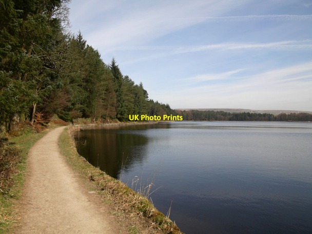 Photo 6"x4" Path between Fox Hill Plantation and Turton and Entwistle Reservoir Cadshaw c2015