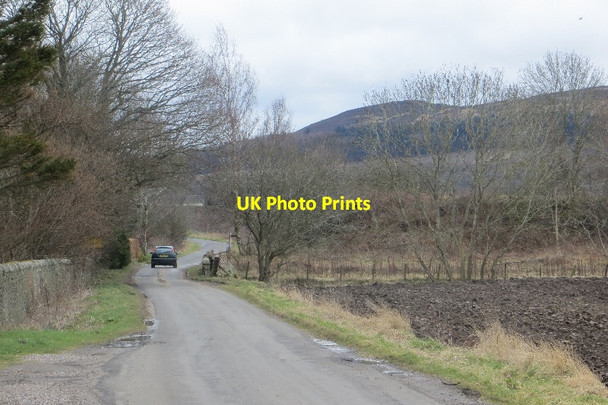 Photo 6"x4" Camno Crossing Newtyle\/NO2941 c2015