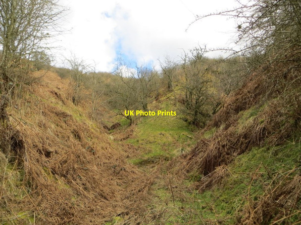 Photo 6"x4" Gully above Llanwenny Llanfihangel-nant-Melan c2015