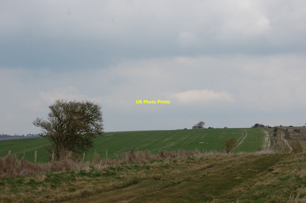 Photo 6"x4" The Ridgeway Avebury\/SU1069 c2015