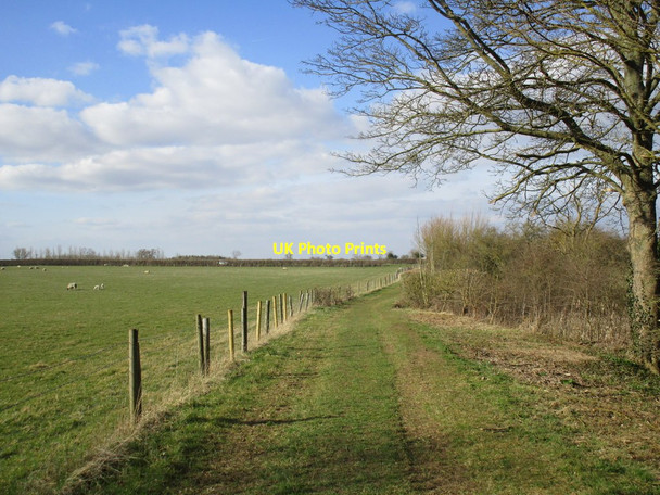 Photo 6"x4" Track to Mount Farm Ashby de la Launde c2015