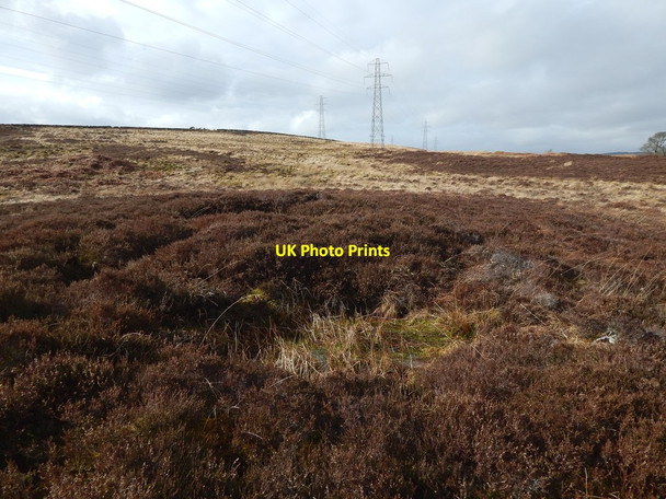 Photo 6"x4" Possible test pit Alexandria c2015