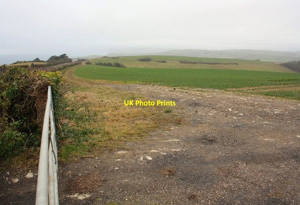 Photo 6"x4" Misty view west from track junction at Beacon Knap Swyre\/SY5288 c2015