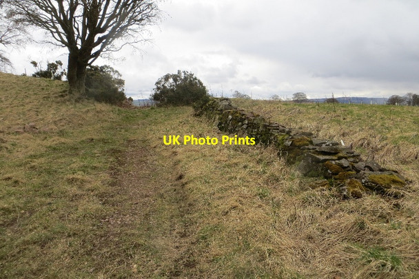 Photo 6"x4" Old track, Airlie Airlie\/NO3150 c2015