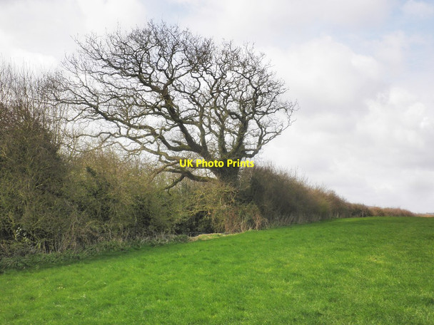 Photo 6"x4" Hill above Peadon Farm Stogursey c2015